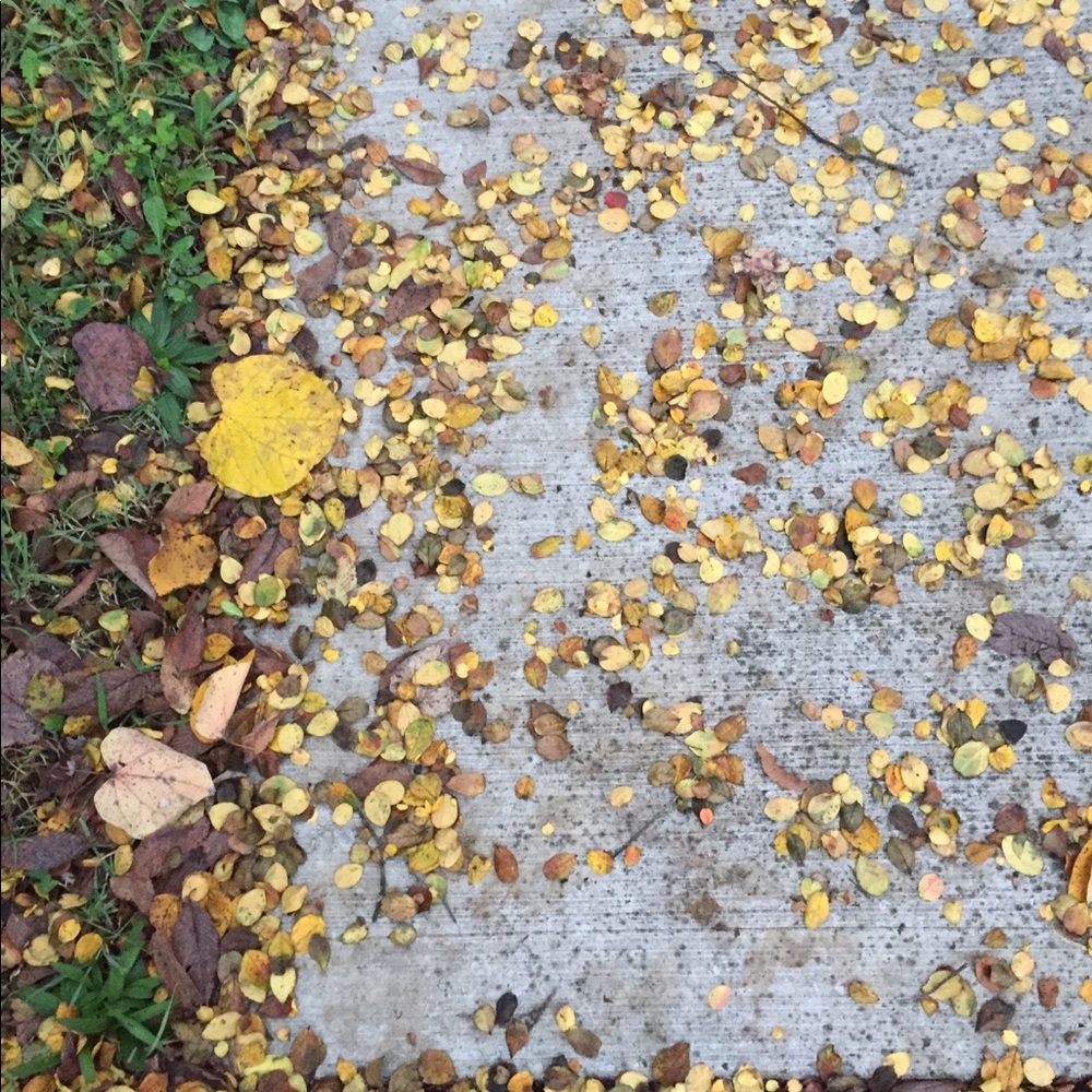 Meet your Posher, Brenna